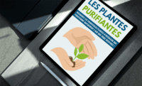 Les plantes purifiantes Les plantes purifiantes