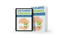 Les plantes purifiantes