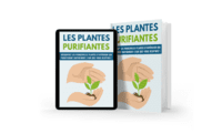 Les plantes purifiantes Les plantes purifiantes